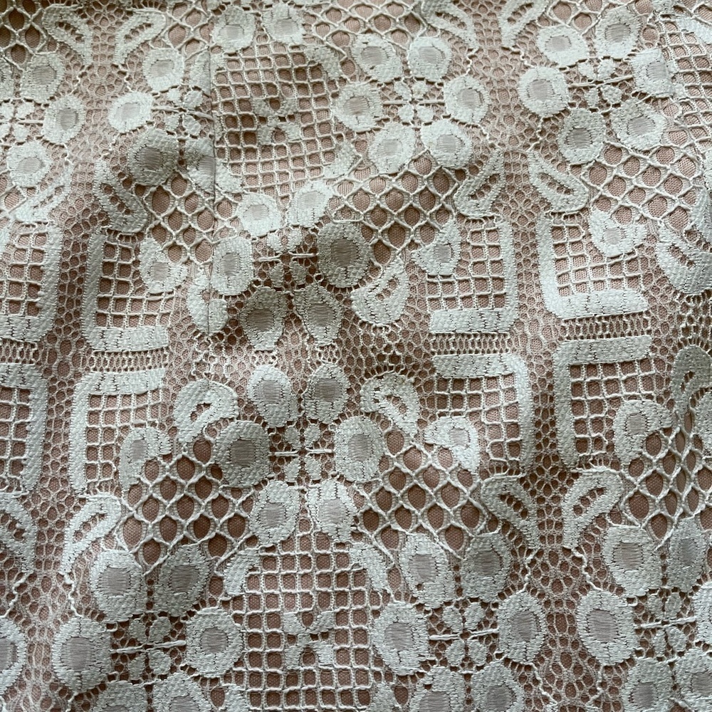 Mini Lace Dress - Picture 3 of 7